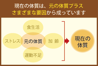 現在の体質はさまざまな要因から成っています